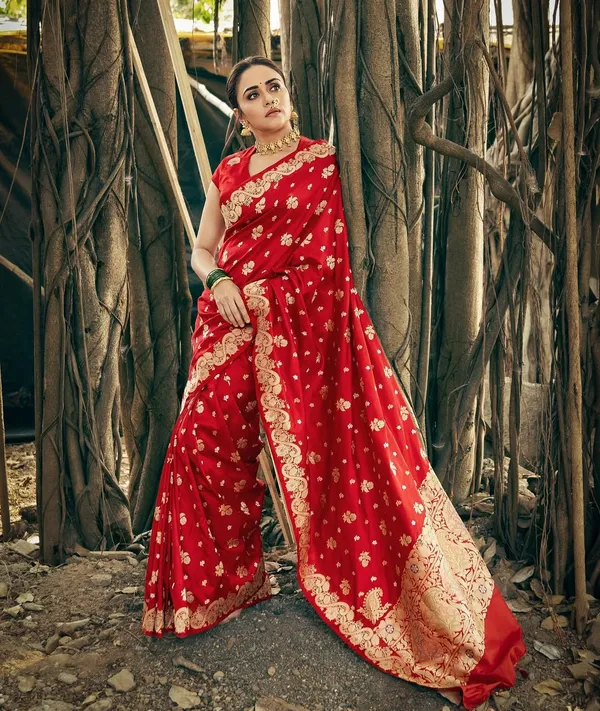Red Banarasi Soft Silk Zari Weave Sareee