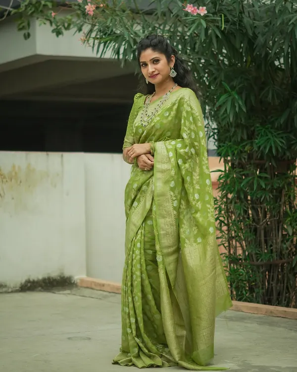 Light Green Banarasi Soft Silk Zari Weave Saree