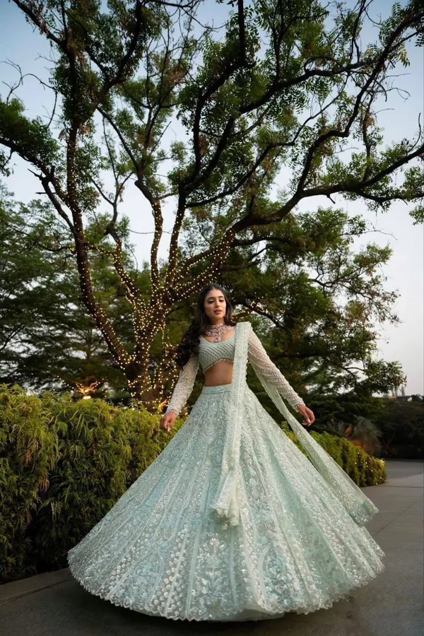 Pastel Grey Embroidered Butterfly Net Lehenga Set