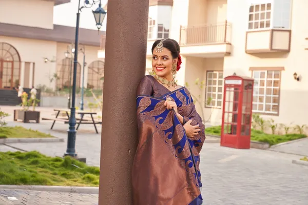 Royal Brown Blue Banarasi Silk Saree with Zari Design