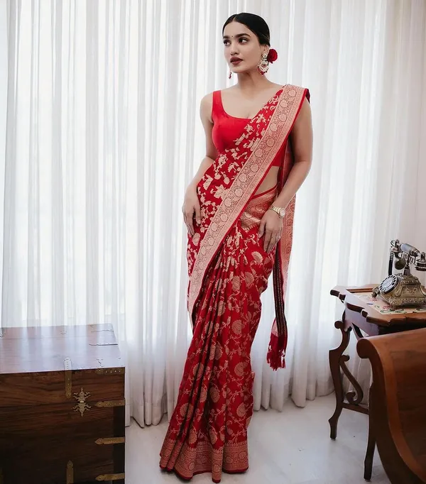 Red Banarasi Soft Silk Saree with Traditional Zari Work