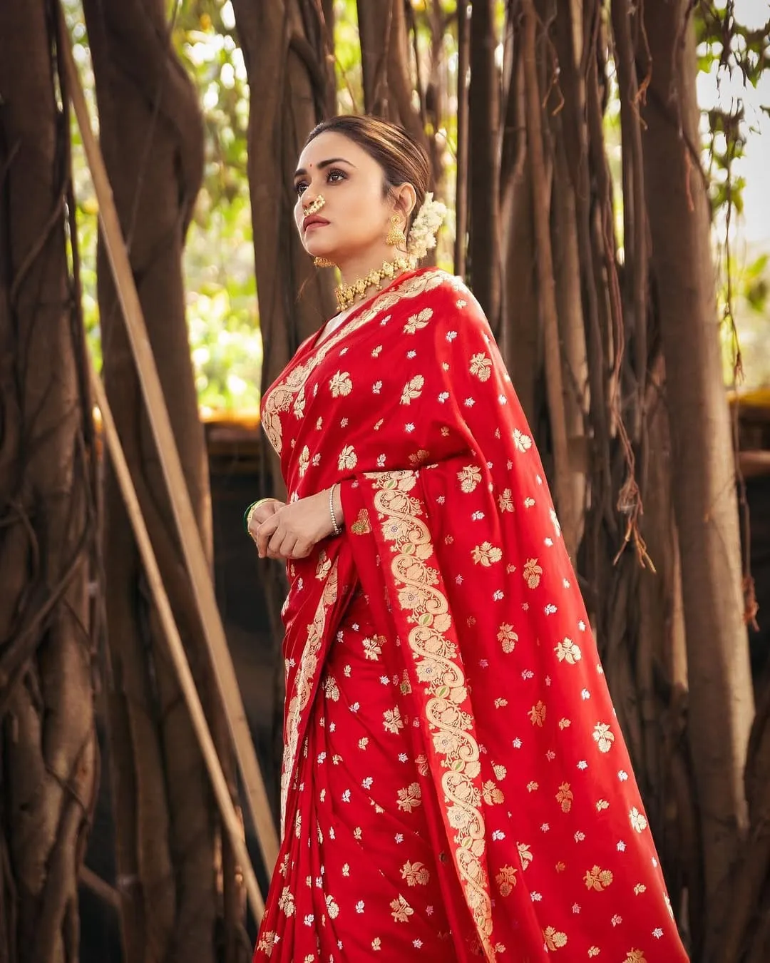 Royal Red Silk Saree with Golden Zari Heritage Weave