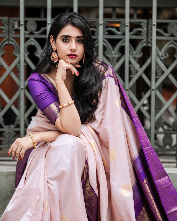 Beige Purple Banarasi Soft Silk Saree with Zari Border