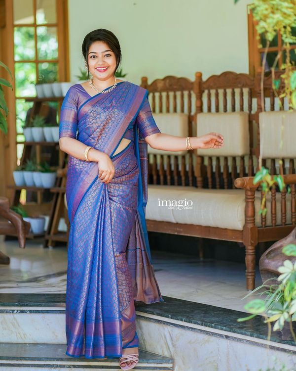 Blue Purple Banarasi Soft Silk Saree with Woven Border