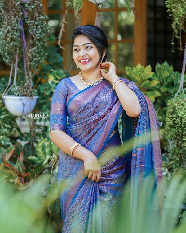 Blue Purple Banarasi Soft Silk Saree with Woven Border