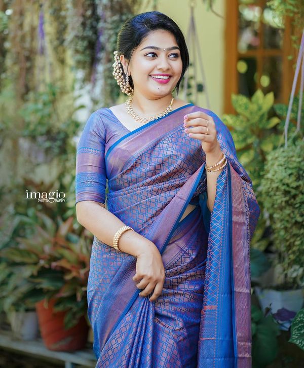 Blue Purple Banarasi Soft Silk Saree with Woven Border