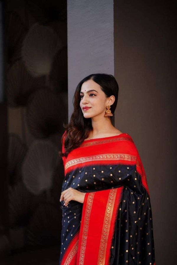 Black Red Banarasi Soft Silk Saree with Gold Border