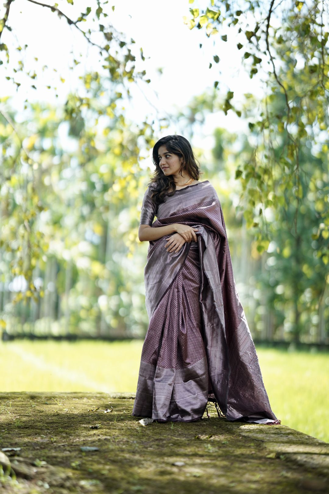 Dusty Mauve Purple Banarasi Soft Silk Saree with Woven Border