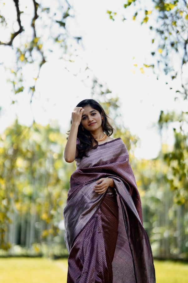 Dusty Mauve Purple Banarasi Soft Silk Saree with Woven Border